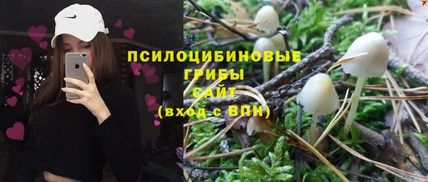 ГАЛЛЮЦИНОГЕННЫЕ ГРИБЫ Абдулино