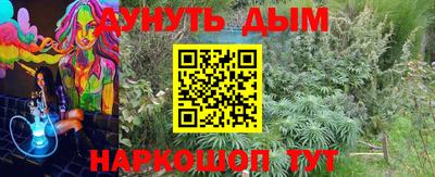 не бодяженный Кингисепп