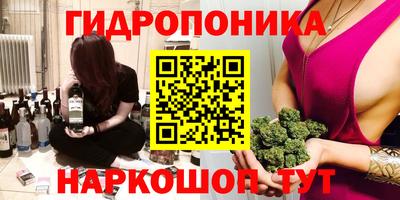 амф Кимры
