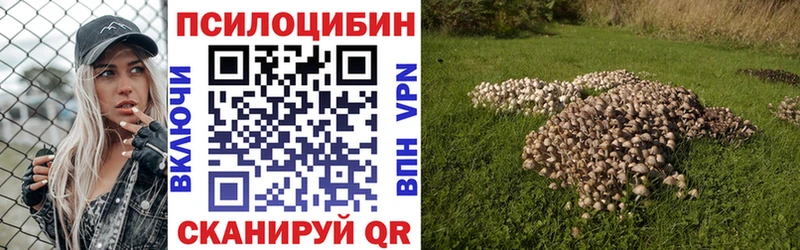 продажа наркотиков  мега ссылки  Галлюциногенные грибы Psilocybe  Лесозаводск 