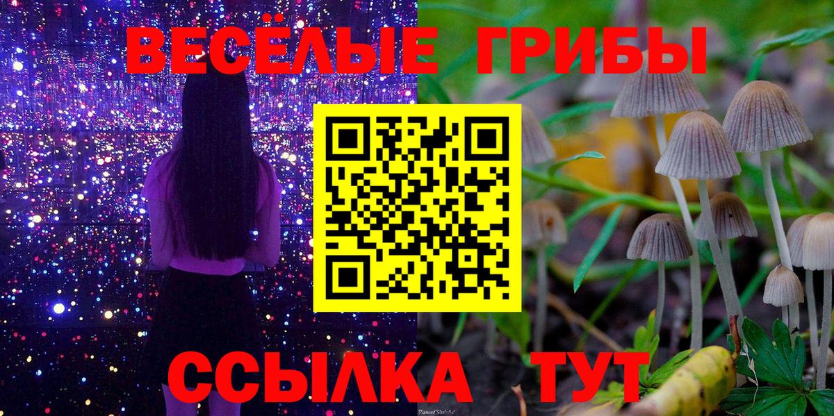 Галлюциногенные грибы ЛСД  Галлюциногенные грибы Psilocybine cubensis  Лесозаводск  Вход с VPN 
